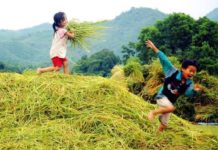 Một cảm nghĩ về nhạc phẩm “Còn Đâu Tuổi Thơ”