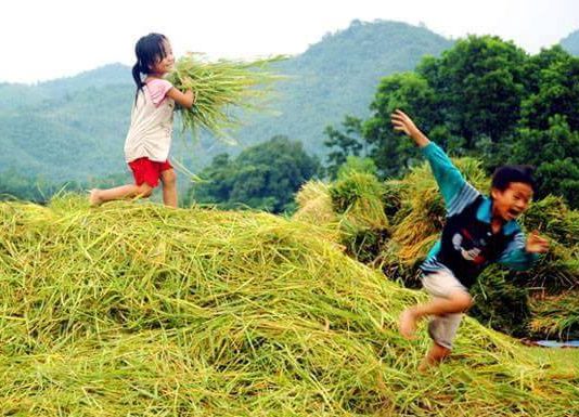 Một cảm nghĩ về nhạc phẩm “Còn Đâu Tuổi Thơ”