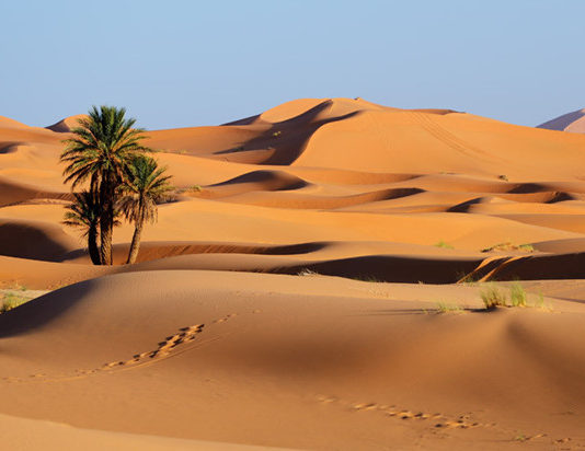 MỐI TÌNH TRÊN SA MAC SAHARA