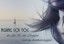 GIÓ NGANG SỢI TÓC