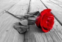 Thi Pháp Cho Thi Sĩ Của Thế Kỷ XXI