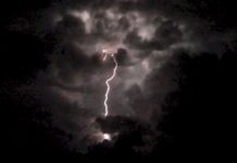 Đời hoa – đời người