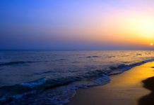 Đừng mang tôi ra biển thơ Linh Vũ-Nhạc ca sĩ Dzuy Linh