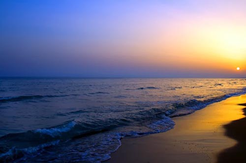 Đừng mang tôi ra biển thơ Linh Vũ-Nhạc ca sĩ Dzuy Linh