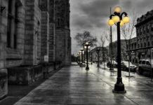 Trở về thành phố