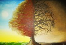 THÊNH THANG ĐỊA NGỤC THIÊN ĐỪƠNG Đình Nguyên-Giọng đọc Kim Phụng