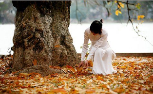 THU VIỄN XỨ Việt Hà -Giọng đọc: Nguyên Ngọc