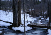 IN MEMORY OF W. B. YEATS