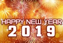 Tâm sự đầu xuân Kỷ Hợi 2019