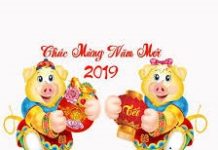 CHÚC TẾT NĂM CON HEO