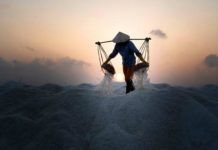 KHI MẶT TRỜI CHƯA THỨC GIẤC