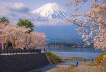 Nhật Bản có gì lạ?