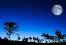 TÔI ĐỌC THƠ LINH VŨ