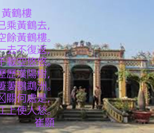 TỪ NGÔI TRƯỜNG NGÀY ẤY