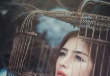 NÓI VỚI CHIM LỒNG