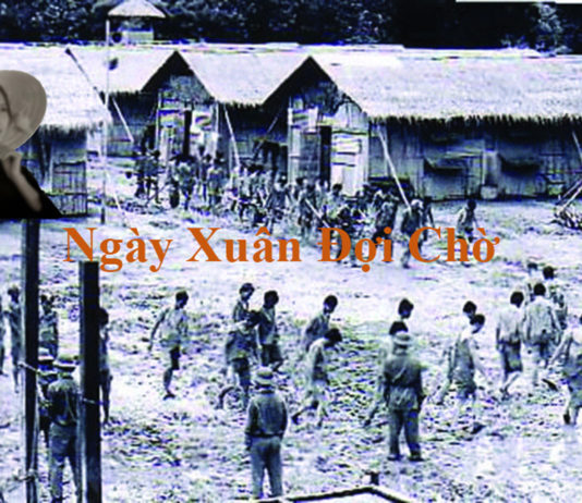 Ngày Xuân Đợi Chờ