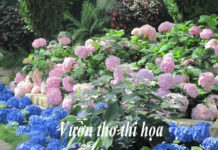 Vườn Hoa Thi Họa