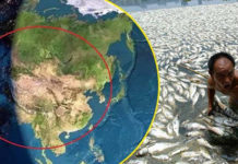 HÃY TĨNH CƠN MÊ!