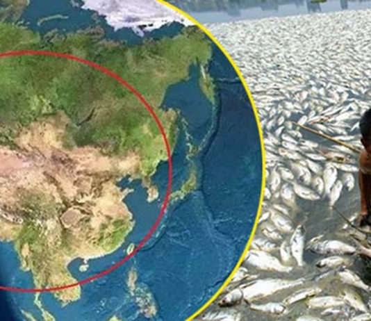 HÃY TĨNH CƠN MÊ!