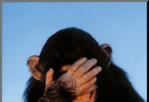 THẾ MÀ TAO CỨ TƯỞNG….!!!