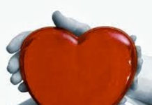 Kỷ vật cho người ở lại…