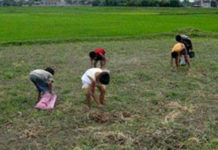 Ký Ức Một Thời