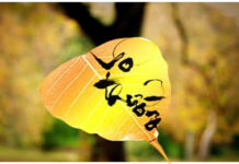 Cuộc sống là vô thường: Mọi người đều chết, mọi sự vật thay đổi theo thời gian.