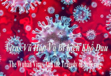 Virus Vũ Hán Và Bi Kịch Khổ Đau