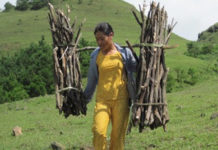 THƯƠNG NGƯỜI GÁNH CỦI ĐƯỜNG XA