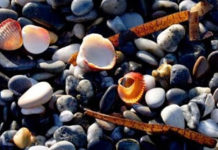 Tiếng cười của đá