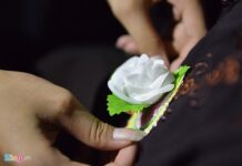 Bông Hồng Cài Áo