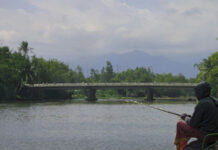 ÐÊM CÂU CÁ SÔNG DINH