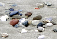 Gió trên sỏi đá