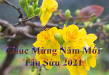 Những bài thơ xuân