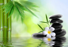 Ngồi thiền – Không tâm