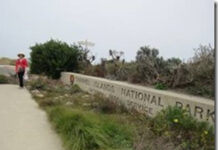 CÔNG VIÊN QUỐC GIA ĐẢO EO BIỂN CALIFORNIA