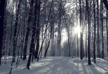 Lời Tình Buồn Nhạc Hoàng Thanh Tâm Ca sĩ Mỹ Linh Preview YouTube video Lời Tình Buồn (Hoàng Thanh Tâm). Ca sĩ Mỹ Linh