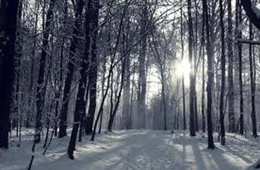 Lời Tình Buồn Nhạc Hoàng Thanh Tâm Ca sĩ Mỹ Linh Preview YouTube video Lời Tình Buồn (Hoàng Thanh Tâm). Ca sĩ Mỹ Linh