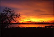 Ý NGHĨ CHIỀU TÀ