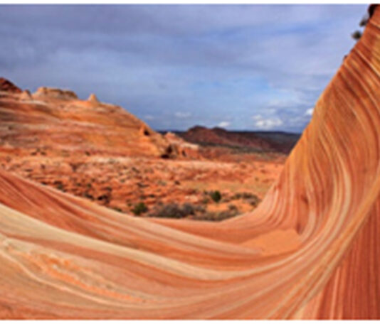 Sandstone/ Đá sa thạch/Blue Canyon (Arizona-USA)