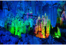 6-Flute Cave Reed (China/Trung quốc)