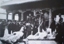 Nọc Độc từ Khổng Tử