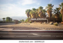 DƯỚI BÓNG MÁT CÂY KÈ SA MẠC NAM CALI.