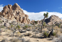 CÔNG VIÊN QUỐC GIA CÂY JOSHUA, CALI.