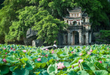 Thềm rêu – Lục bình – Chắp tay