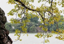 Ca khúc: Nhớ em chiều Hà Nội