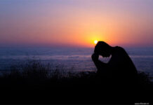 Sầu Viễn Phố – Buồn viễn xứ – Phận Cỏ May