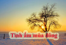 Tình ấm mùa đông