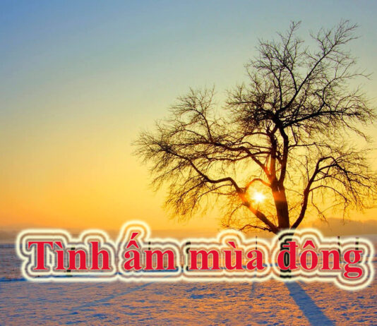 Tình ấm mùa đông