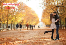 THÀNH PHỐ HẠNH NGỘ